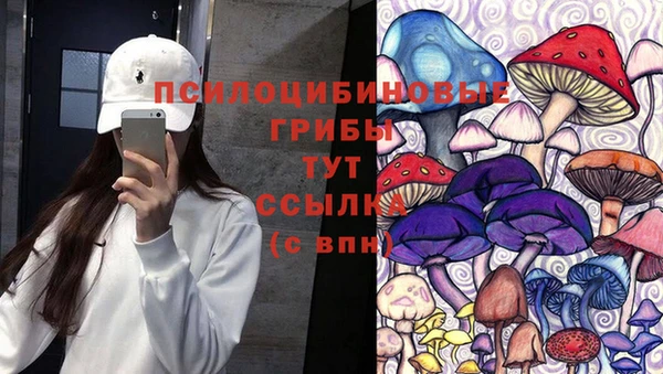 mdpv Алзамай