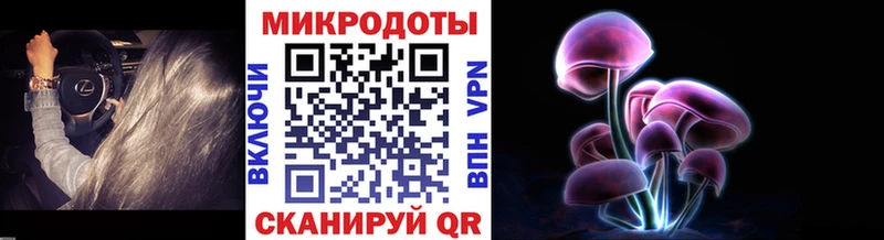 Галлюциногенные грибы MAGIC MUSHROOMS  Лаишево 